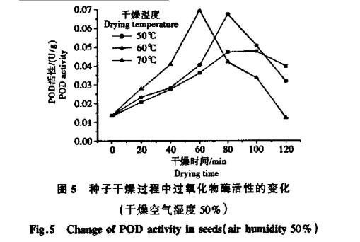 高溫干燥條件對白菜種子生命物質(zhì)破壞